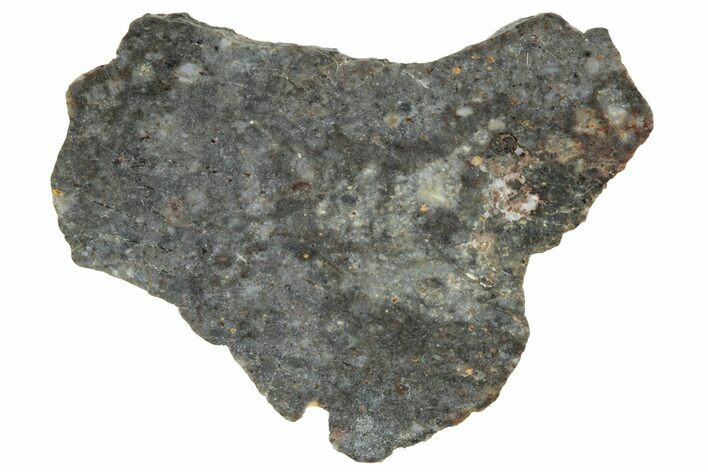 Lunar Meteorite ( g) Slice - Laayoune #291634